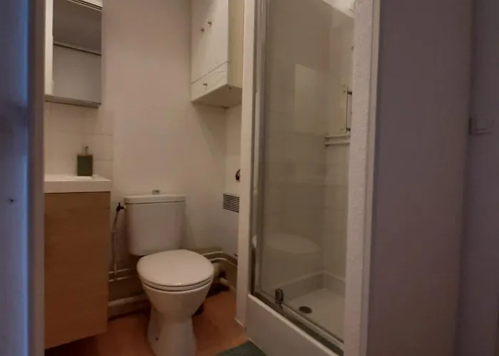 Apartment Proche Tram- Parking Prive - 2 Voyageurs Le Mans